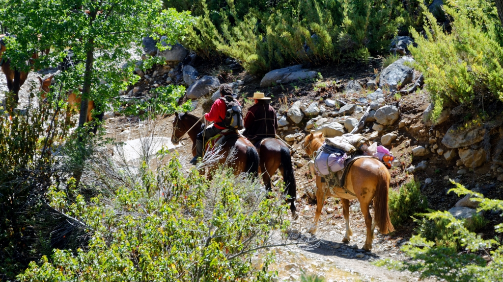 06 - Altos de Lircay RN (1).jpg